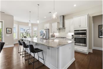 Stunning, 12 foot long, granite island with storage on both sides plus overhang for seating. Distinctive pendant lights.