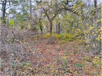 Primary listing photos for listing ID 642420