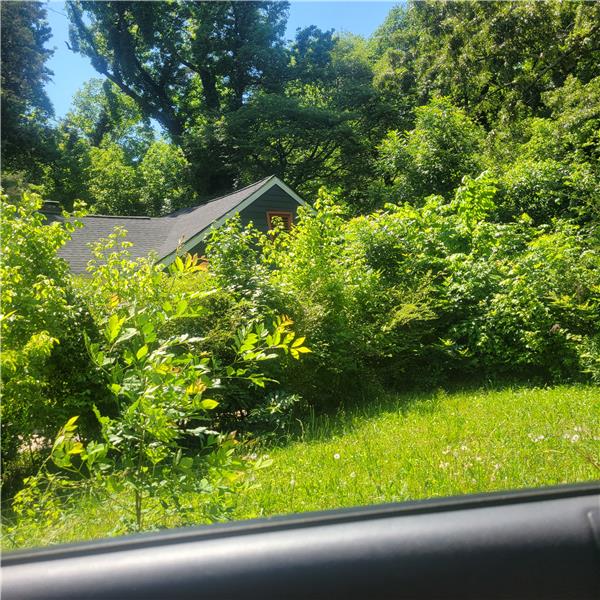 Gorgeous lot to build out