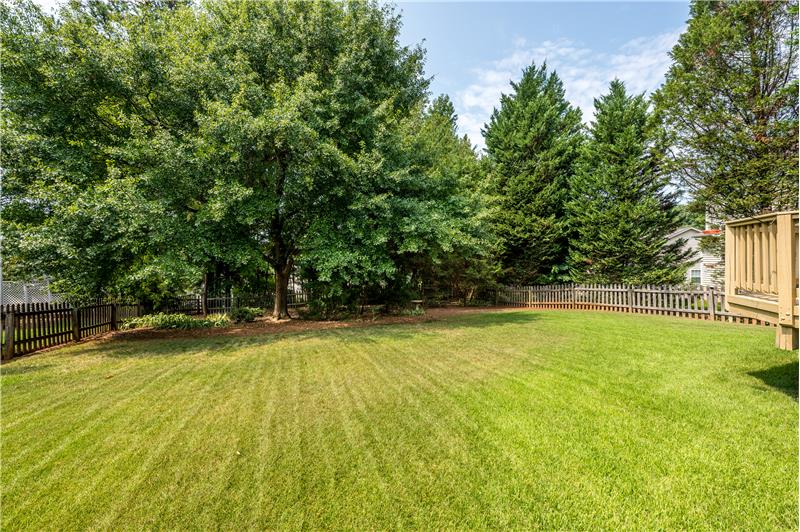 Private, wooded back yard.