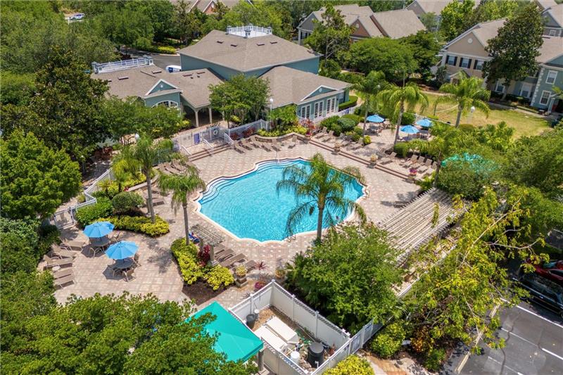 Pool Aerial View