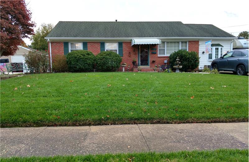 Beautiful Lawn