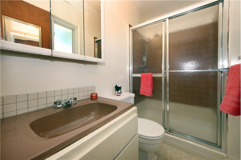Master bath with large shower and medicine cabinet
