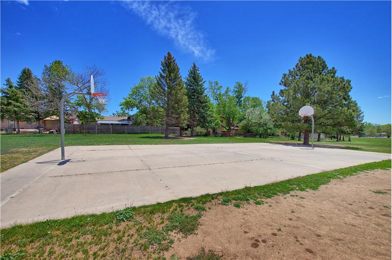 Basketball Court