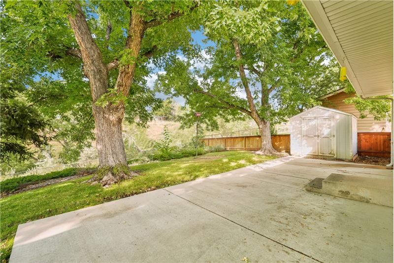 Patio, with shed beyond