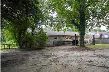 The entire backyard
#largeyard