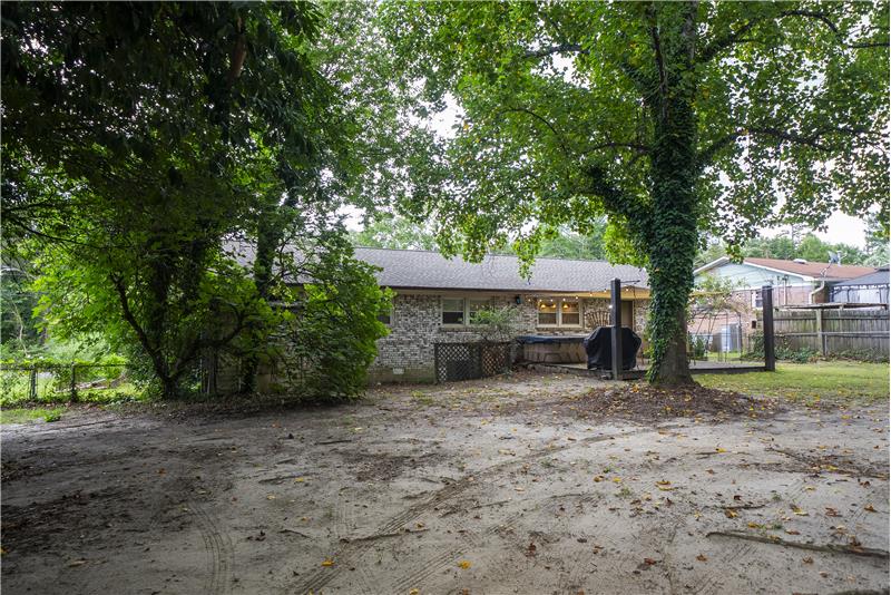 The entire backyard
#largeyard