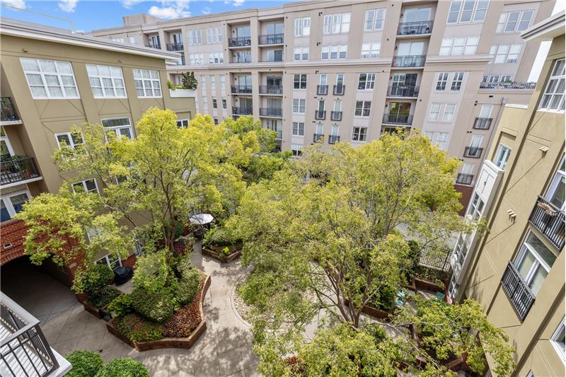 Lovely tree-top views of the private courtyard