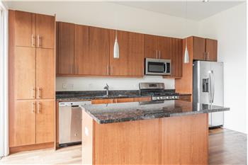 1354 W Augusta 202, Chicago, IL