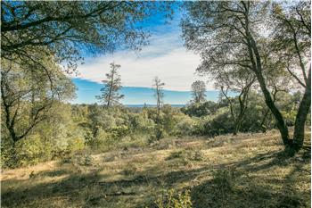 Primary listing photos for listing ID 530576