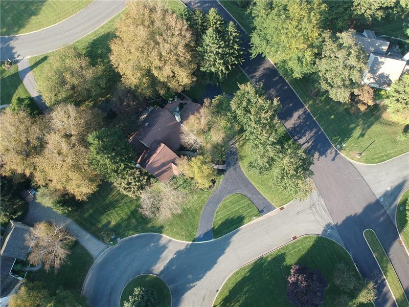 14 Ringneck - Ariel View