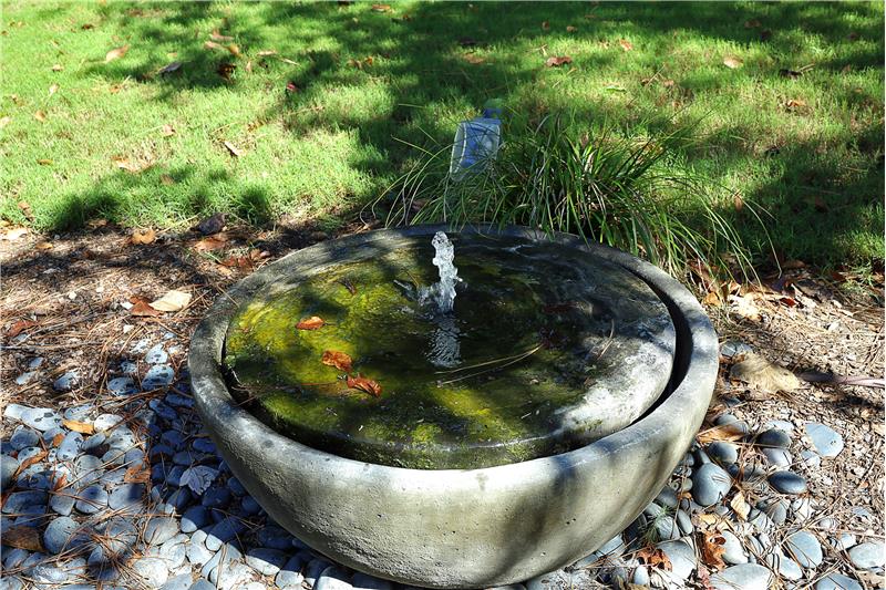 Back Yard Water Feature