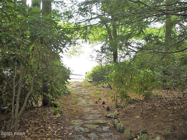Path to Lake