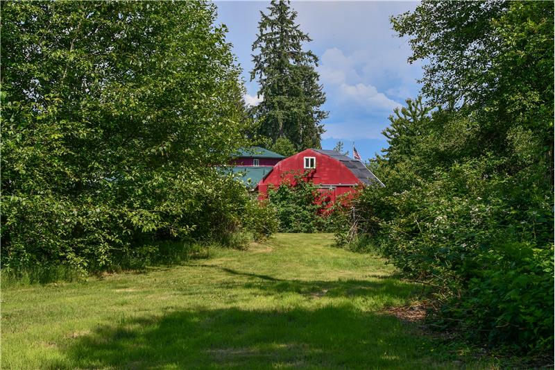 Back of pottery shed and mountain view from SW corner of property