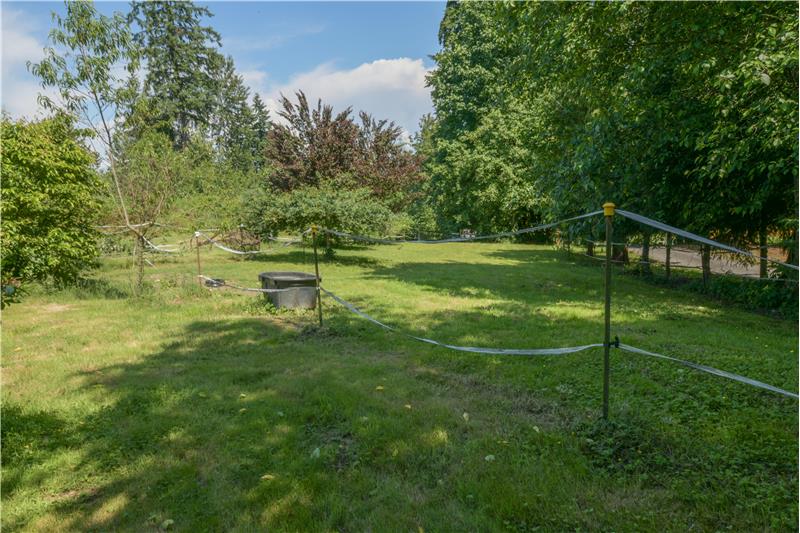 Front pasture with several fruit trees on property