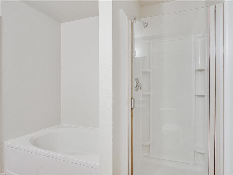 Separate shower and tub!