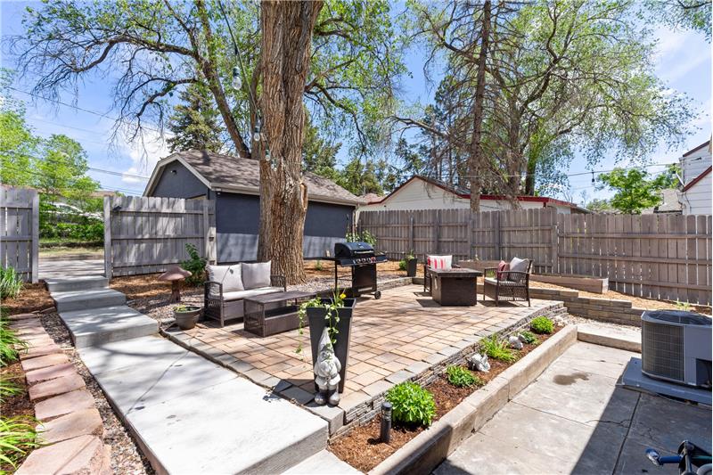Backyard (during summer 2024)