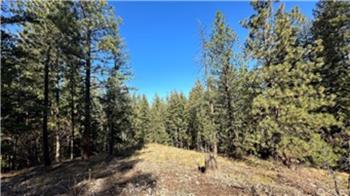 142 Red Pine Court, Winthrop, WA