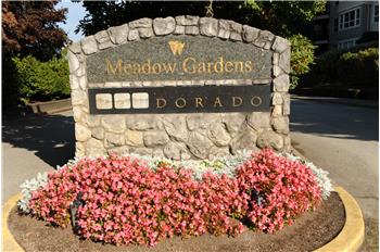 143 19639 Meadow Gardens Way, Pitt Meadows, BC