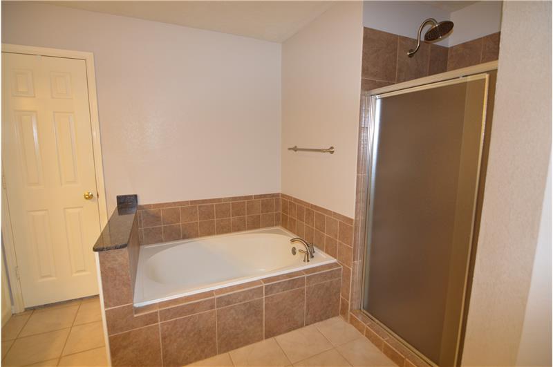Separate Tub and Shower in Master Bath