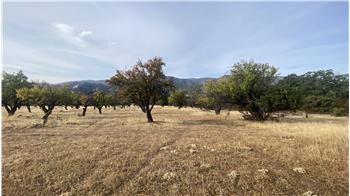 14550 County Road 41A, Rumsey, CA