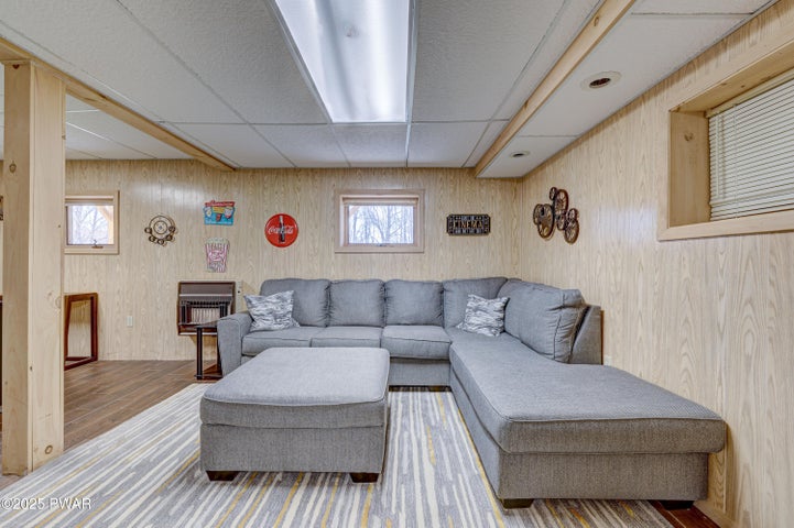 Lower Level Family Room