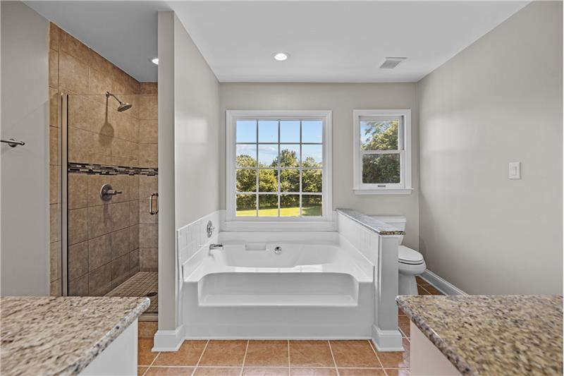 En-suite owner's bathroom features shower with tile surround, deep soaking tub, windows adding natural light.