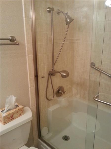 Master Bathroom Shower over Tub