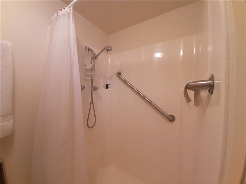 Master Shower upgraded with low-threshold enclosure, fixtures and grab bars!
