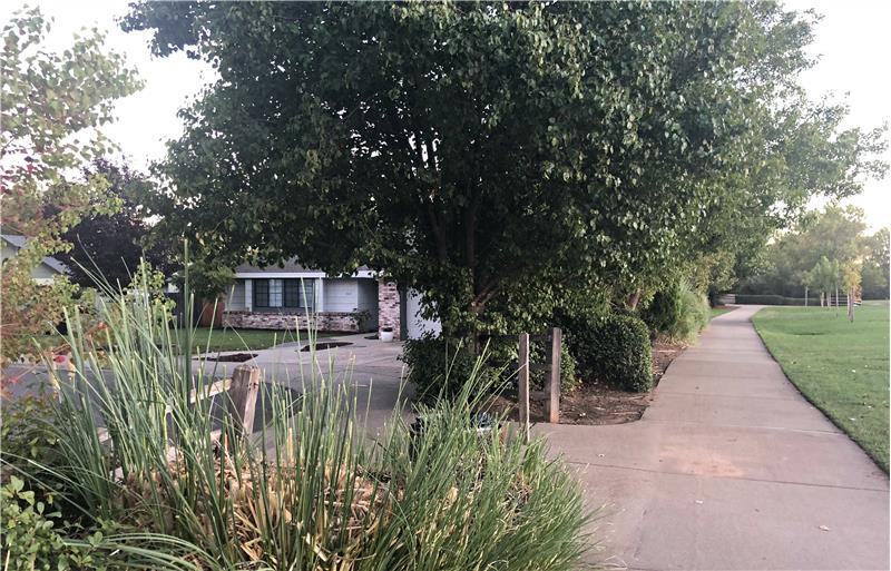 Sides next to park