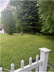 Beautiful back yard