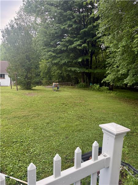 Beautiful back yard