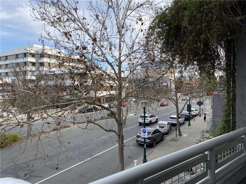 Winter sun & Summer shade