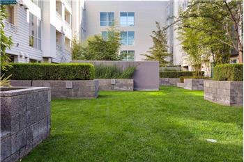 Inside greenbelt area