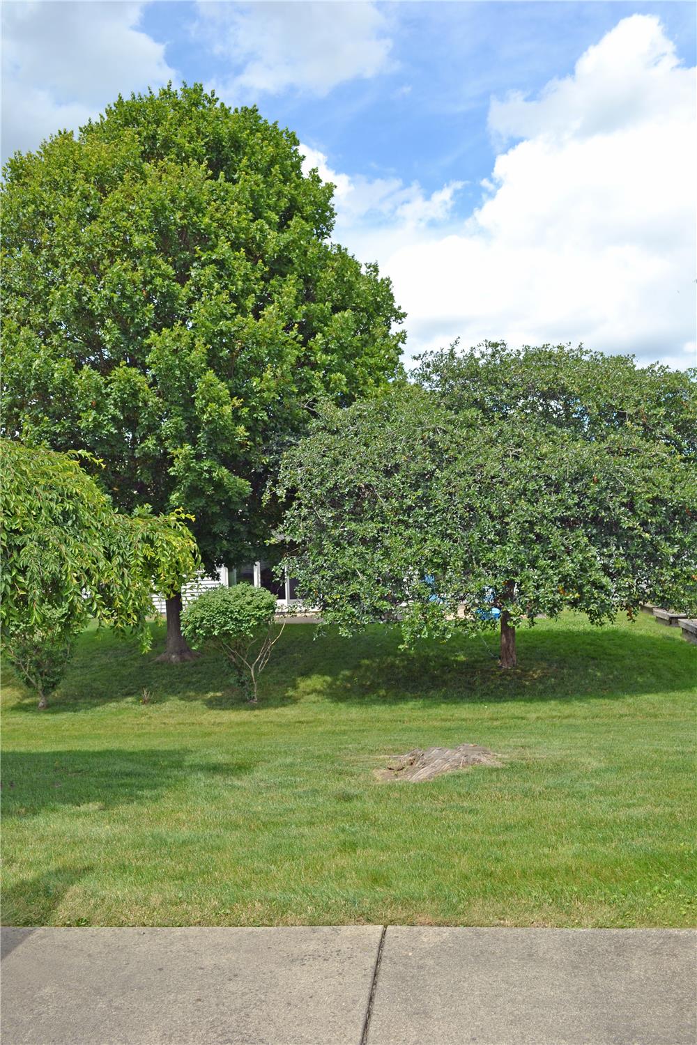 https://realbird.blob.core.windows.net/rb-photos/1658-evergreen-avenue-crown-point-in-46307_A9E3C7A1_641578_638869128830153219_80x60.jpg