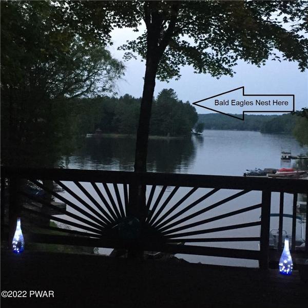 Bald Eages Nest view