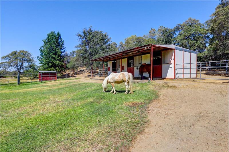 3 Stall Barn