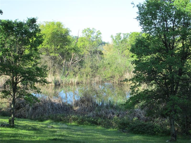 Pond