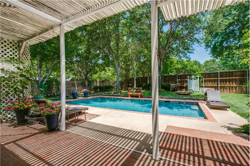 backyard oasis!
