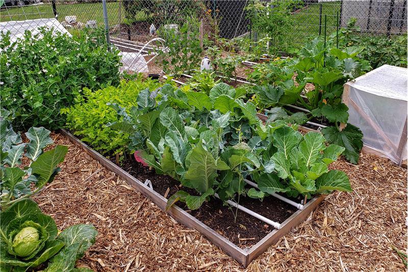 If you love to garden this is all set up for you!