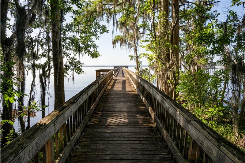 What a lovely place to go for a walk in the morning...or relax with an evening stroll...