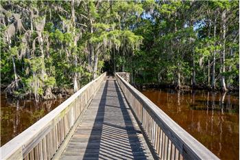 Take and evening stroll and unwind with a glass of wine...or whatever your choice of Bubbly you desire