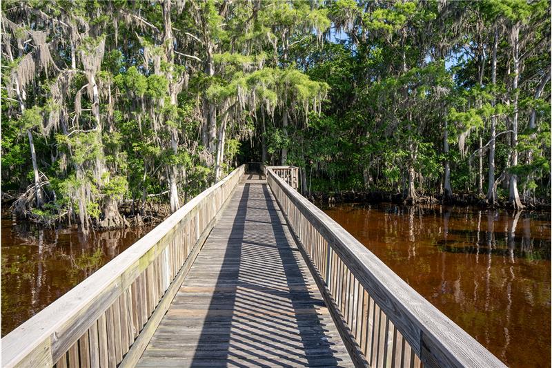 Take and evening stroll and unwind with a glass of wine...or whatever your choice of Bubbly you desire