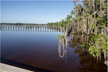 Take and evening stroll and unwind with a glass of wine...or whatever your choice of Bubbly you desire