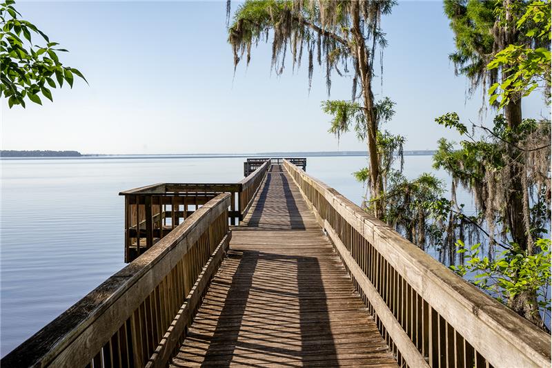 What a lovely place to go for a walk in the morning...or relax with an evening stroll...