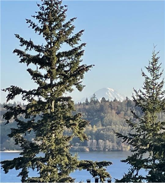 Mt Rainier from your patio!!!  Majestic!