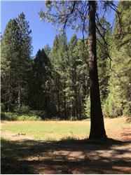Primary listing photos for listing ID 534895