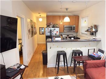 1738 W Altgeld 1, Chicago, IL