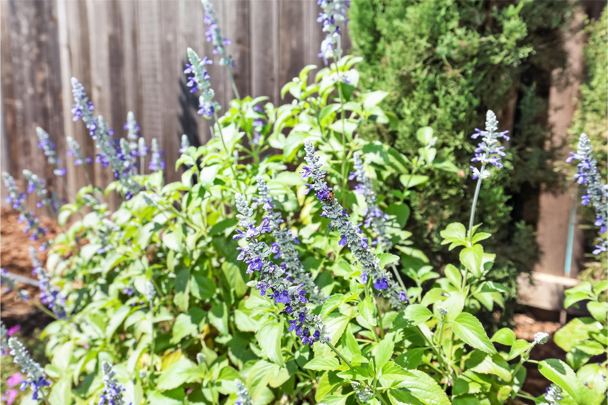 https://realbird.blob.core.windows.net/rb-photos/1742-woodside-drive-woodland-ca-95695_F3B9B8D5_652812_639222544831762236_80x60.jpg