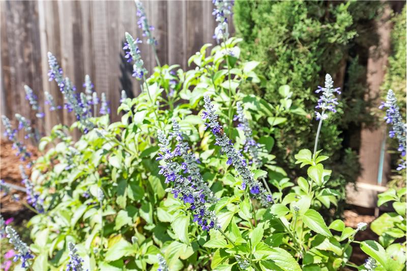 
                            Property Image 55